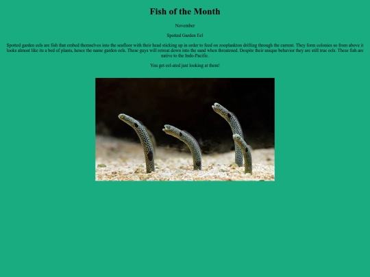 FishoftheMonth screenshot