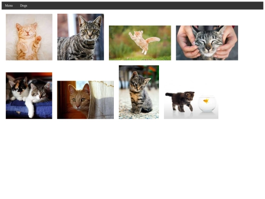 Assignments/FinalProject/Cats screenshot
