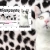 The web site of satis avatar