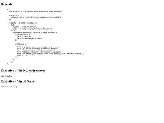 workbook/javascript-nixos screenshot
