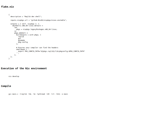 workbook/raylib-nixos screenshot