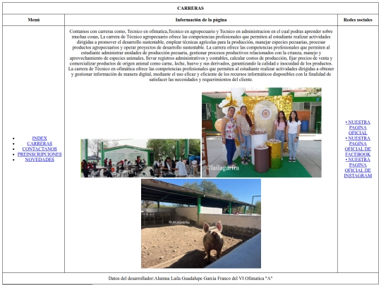 CARRERAS screenshot