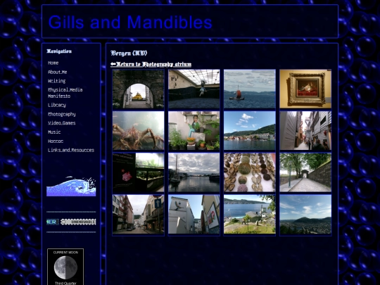 photography--Bergen screenshot