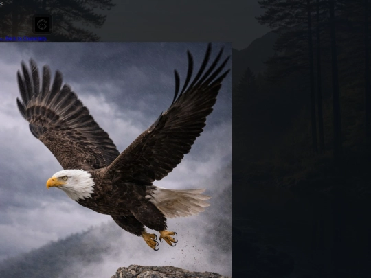 eagle screenshot