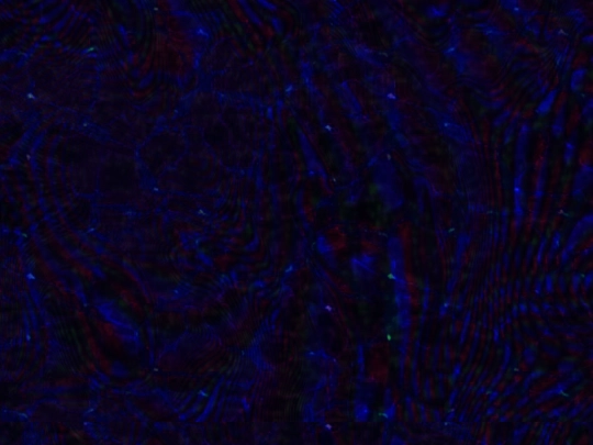 gallery screenshot