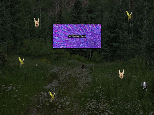 basement/dcc81f screenshot