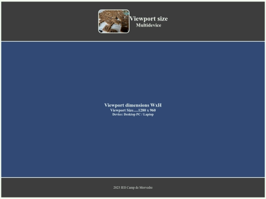interfaces/AF8.1_Responsive screenshot