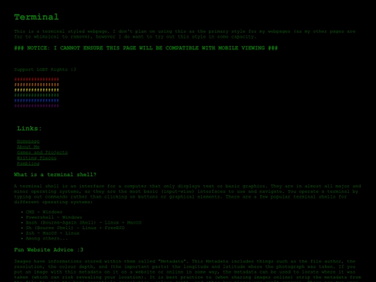 terminal_page screenshot