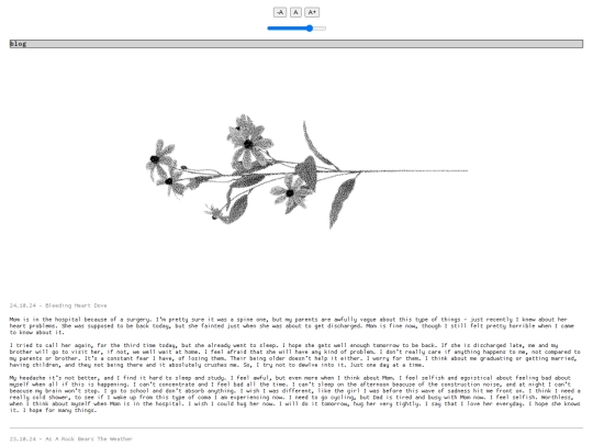 bike/02blog screenshot