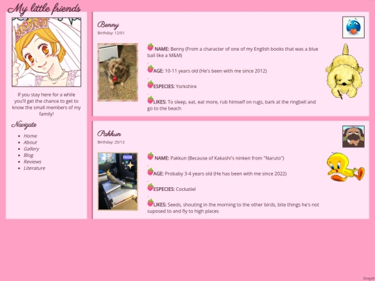 pet2 screenshot