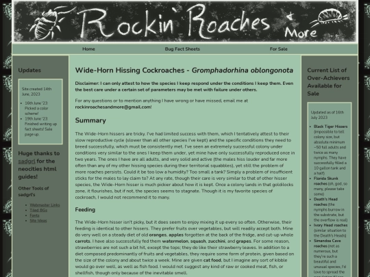 widehornhisser screenshot