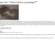 serialscum.neocities.org avatar