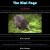 Kiwi Page avatar