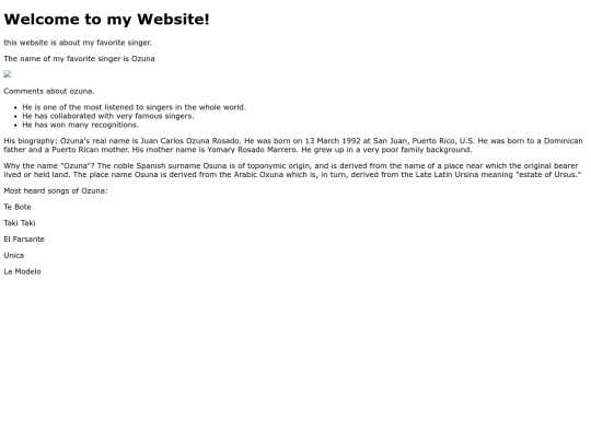 websiteproject screenshot