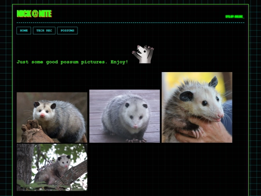 possums screenshot