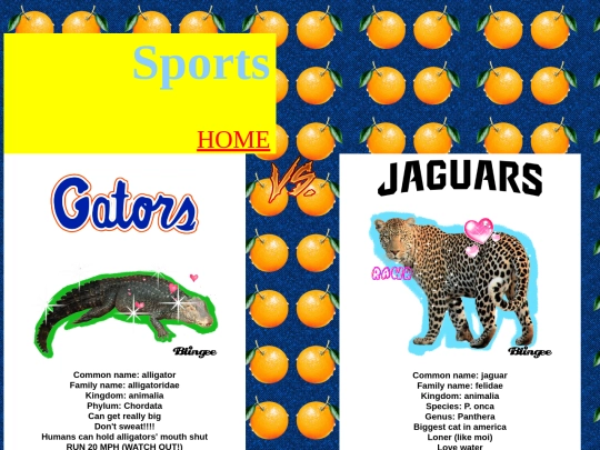 sports screenshot