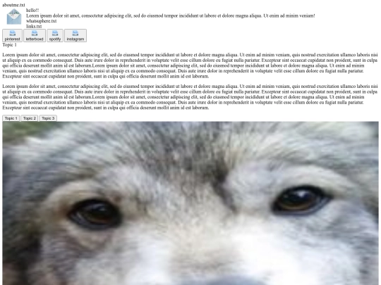 templates/template screenshot