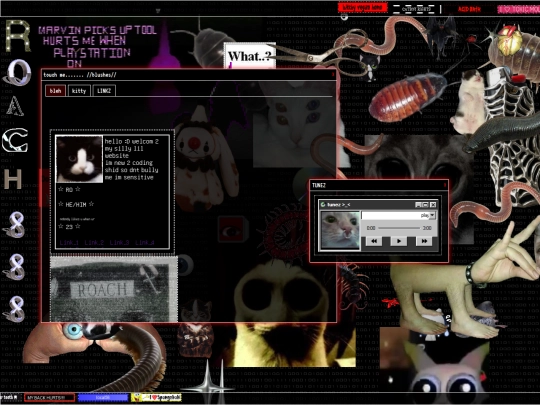 me/bakup2 screenshot