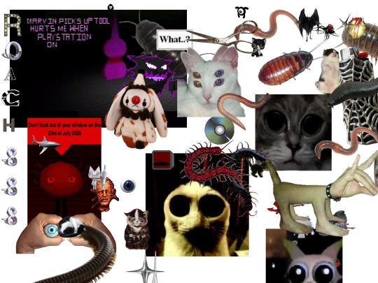 randomm screenshot