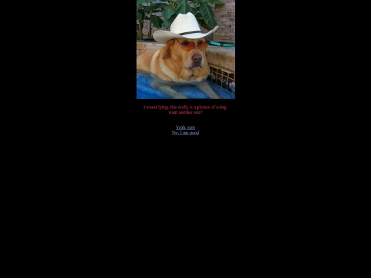 pictureofadog screenshot