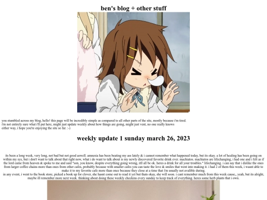 blog screenshot