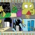 IM PETSCOP COMIC avatar