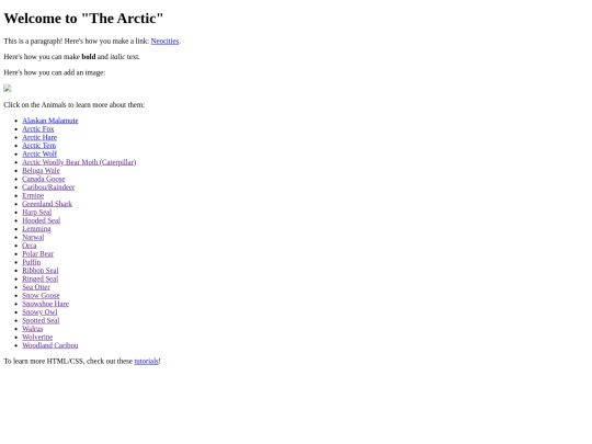 index screenshot