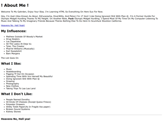 aboutmepage screenshot