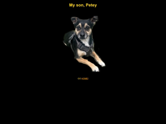 Petey screenshot