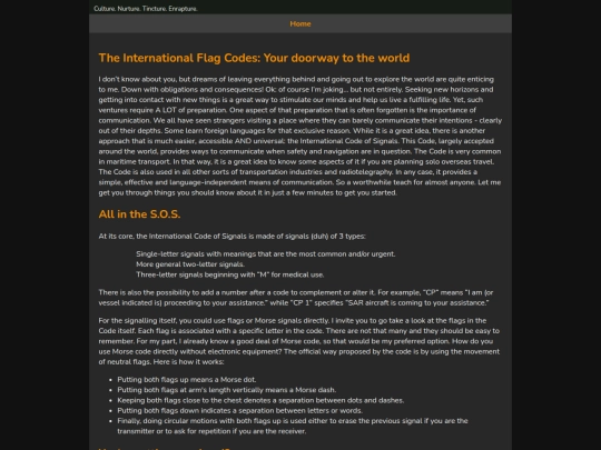 posts/flag-code screenshot