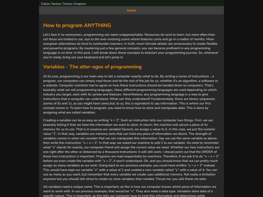 posts/program-anything screenshot