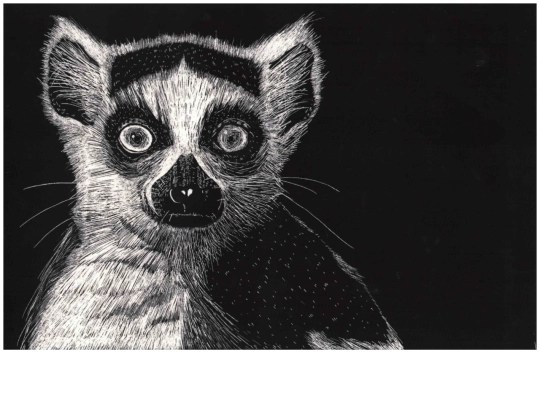 scratchlemur screenshot