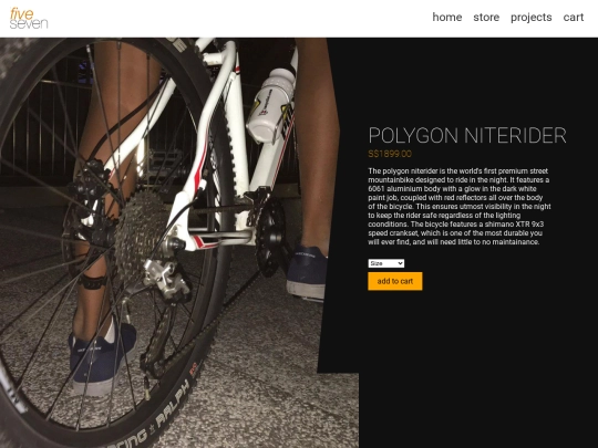 polygon-niterider screenshot
