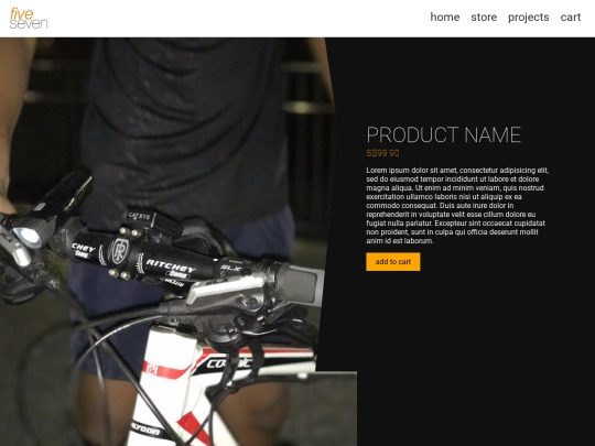 product-template screenshot