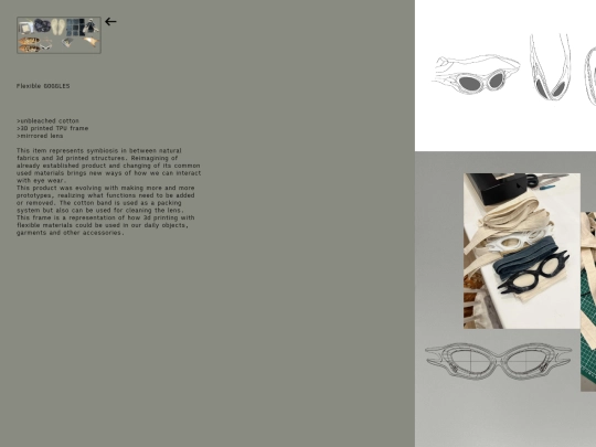 main-site/goggles screenshot