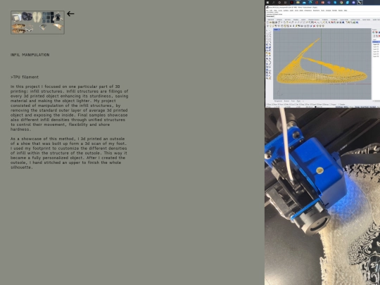 main-site/manip screenshot