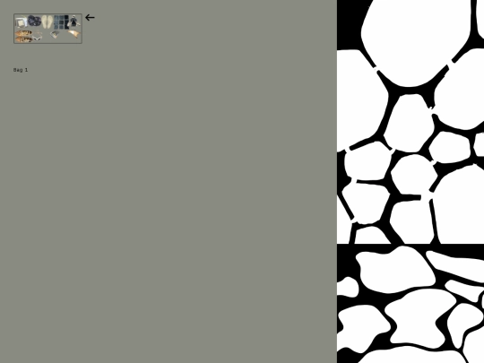 main-site/padded/bag-1 screenshot
