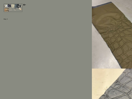 main-site/padded/bag-2 screenshot