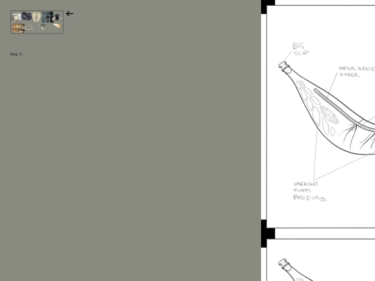 main-site/padded/bag-3 screenshot
