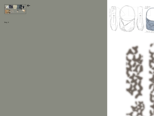 main-site/padded/bag-4 screenshot