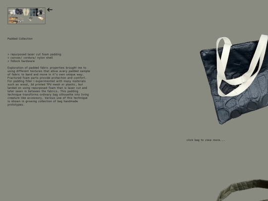 main-site/padded screenshot