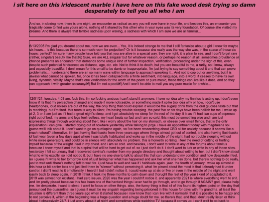 diary screenshot