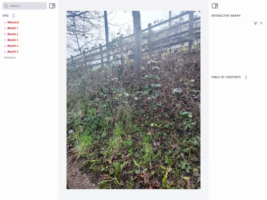 month-2/images/brambles,-young-european-ash-rotting-wooden-fences screenshot