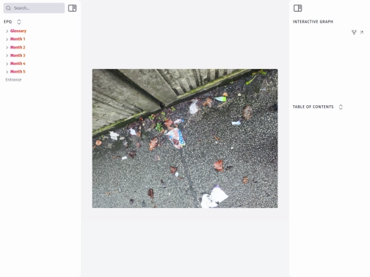 month-2/images/litter-and-streetweeds screenshot