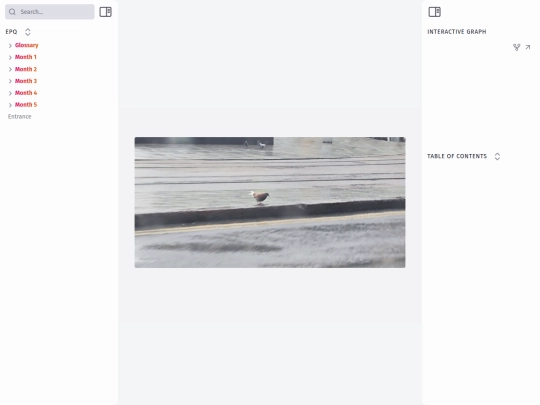 month-2/images/the-elusive-brown-wood-pigeon screenshot