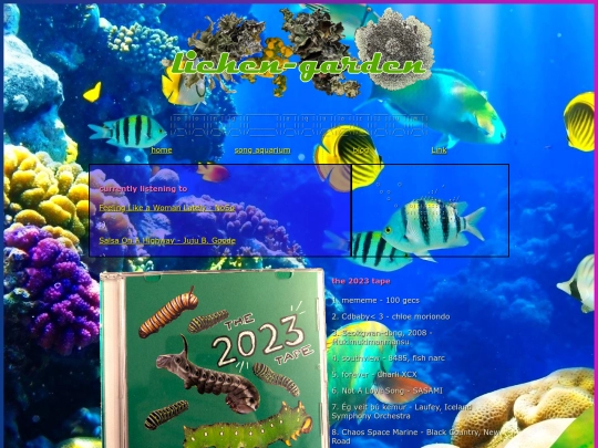 songaqua screenshot