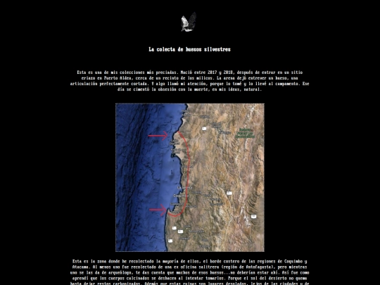 huesos screenshot