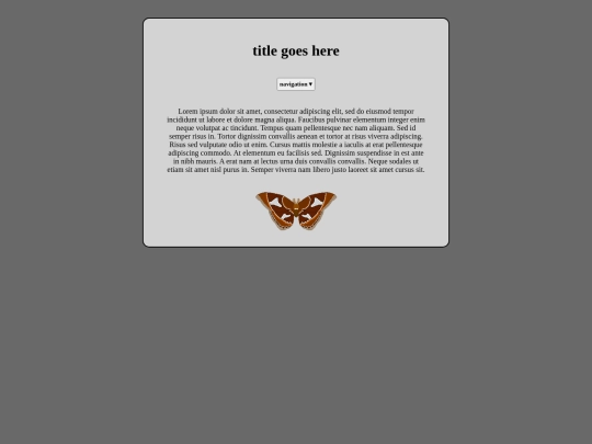 basecode screenshot
