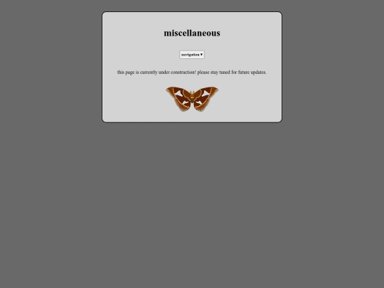 other-work screenshot