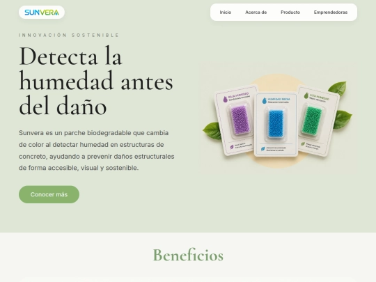 Inicio screenshot